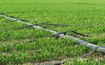 滴灌配件越厚越好用嗎? 滴灌配件越厚越好用嗎?